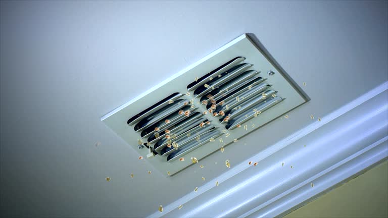 Best Dryer Vent Cleaning Services  in Aviston, IL